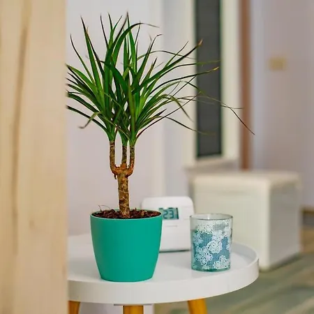 Apartment Apartament Oana Mamaia Nord